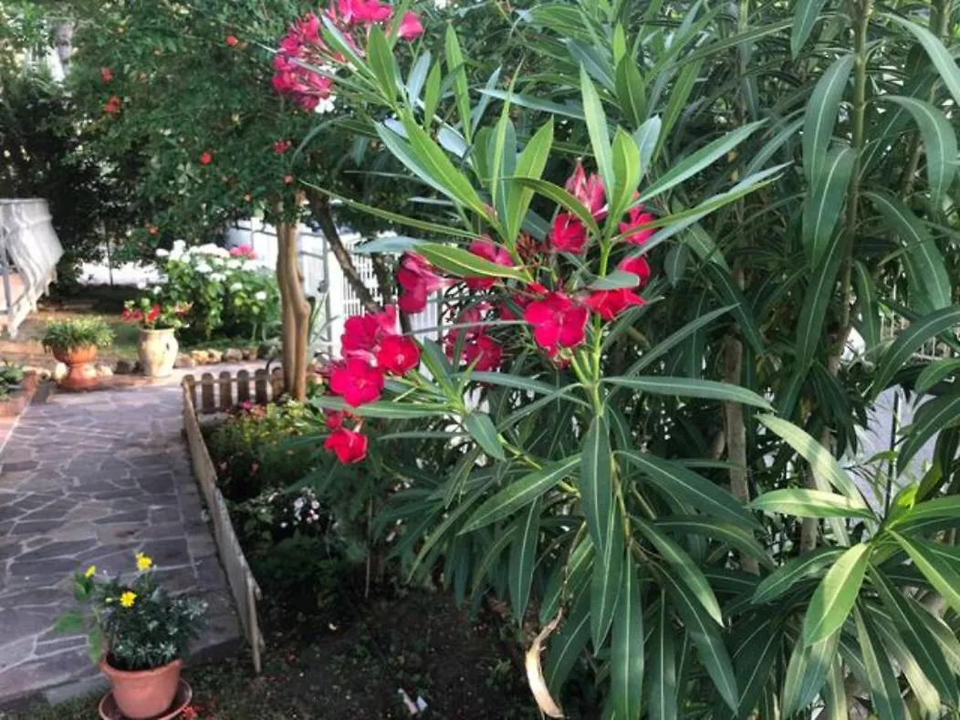 Villa Le Ginestre Lido di Jesolo